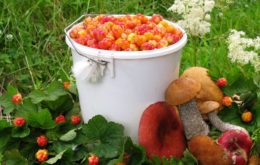 Лунный календарь на июль