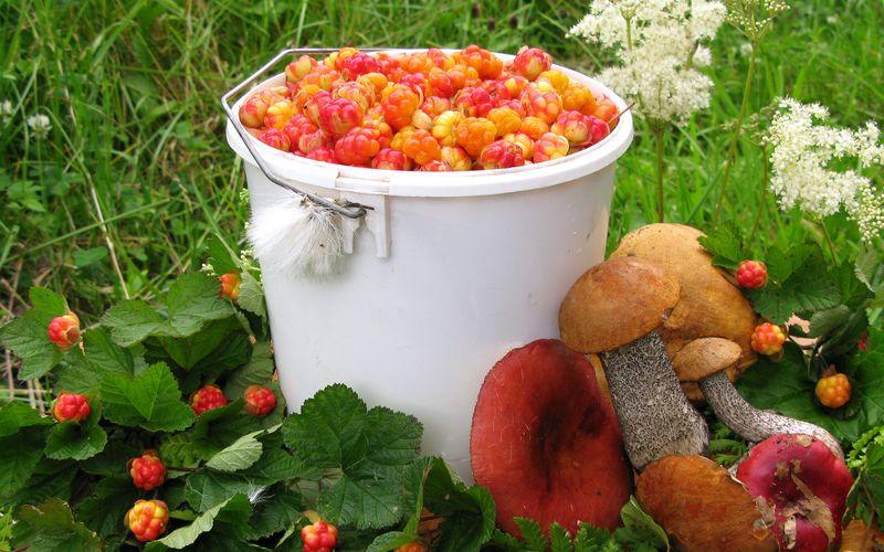 Лунный календарь на июль