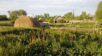 Лунный календарь огородника на июнь