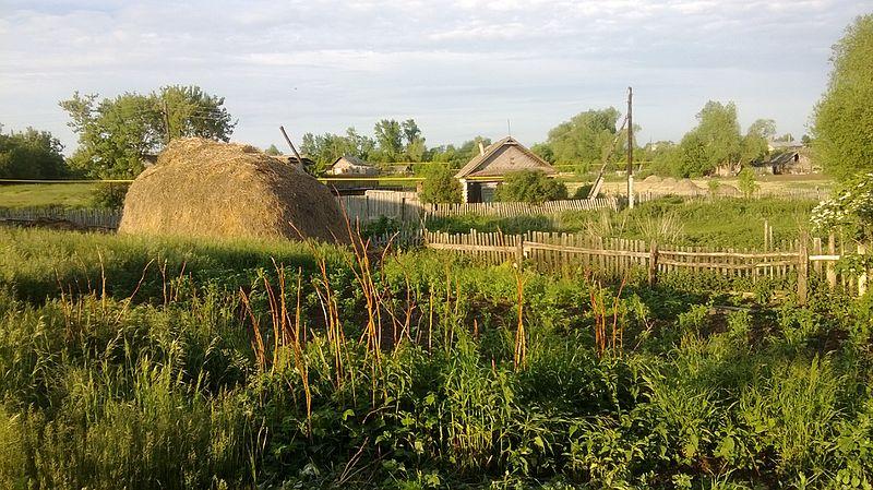 Лунный календарь огородника на июнь